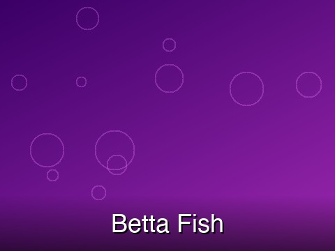 Betta – Nemo Plakat