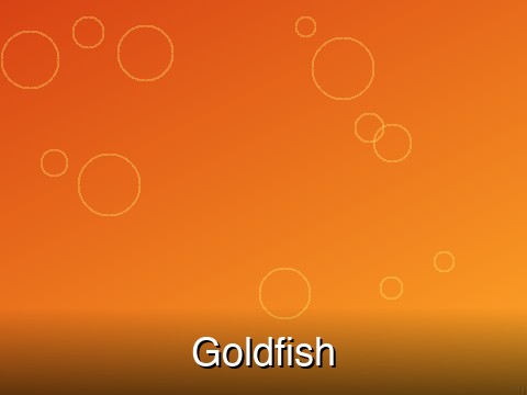 Goldfish – Small