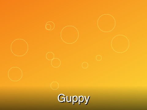 Guppy – Normal