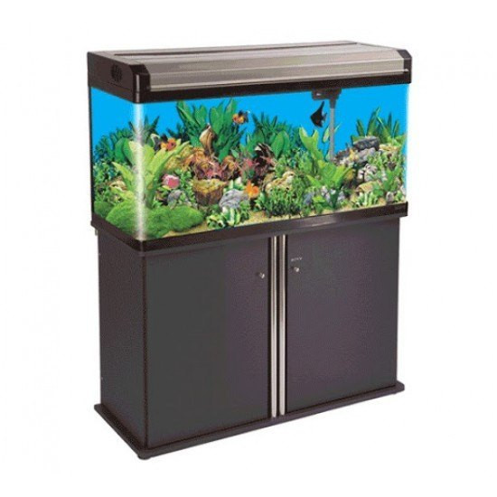 4 FEET Imported Tank  With Cabinet