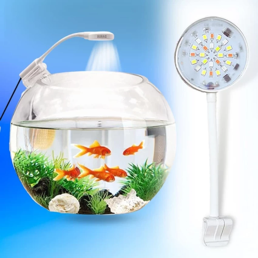 White Aquarium Bowl Light