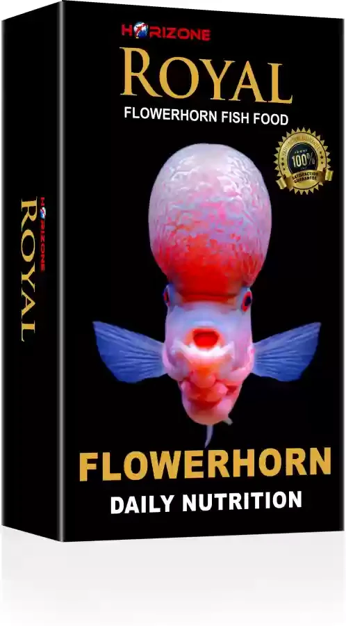 Royal Flowerhorn Fish Food