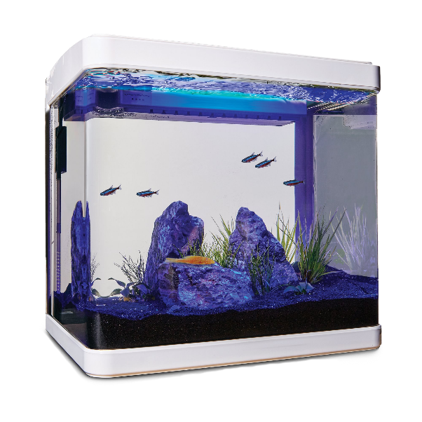 Imported fish tank online shopping best sale